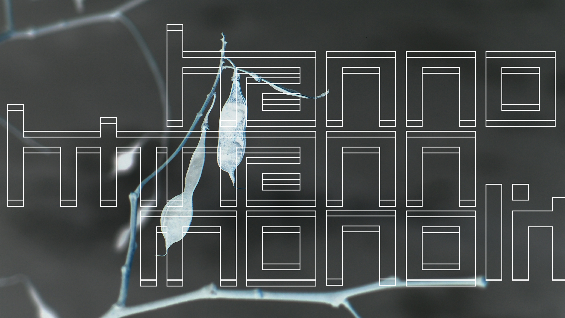 2021-03-10 Hanno Leichtmann - 1996 Monolith (rauschpartikel Remix 1 - 3)